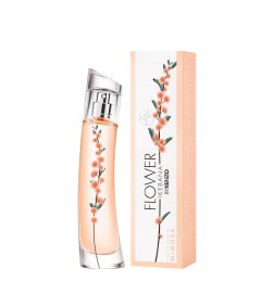 FLOWER BY KENZO IKEBANA MIMOSA - Eau de Parfum FLOWER BY KENZO IKEBANA MIMOSA - Eau de Parfum